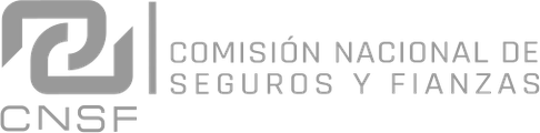 Comisión Nacional de Seguros y Fianzas